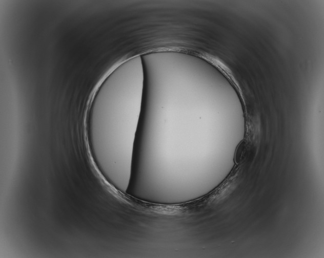 X0000086000859200703230847