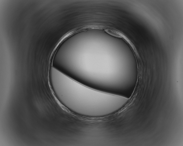 X0000086000861200703230847