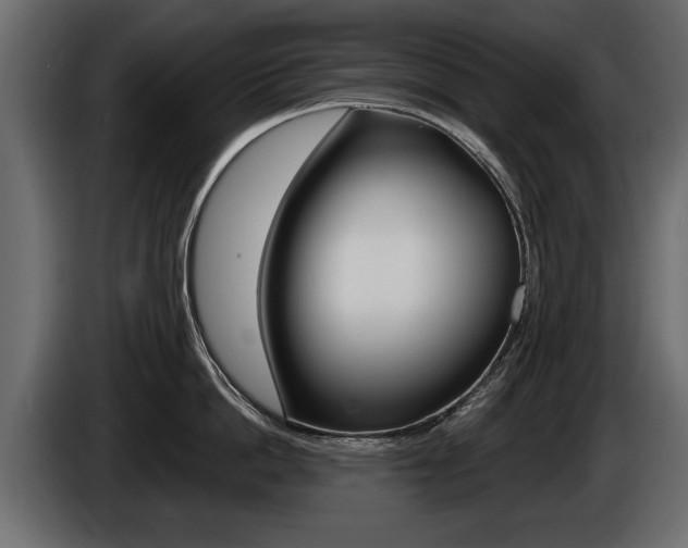 X0000086000862200703230848