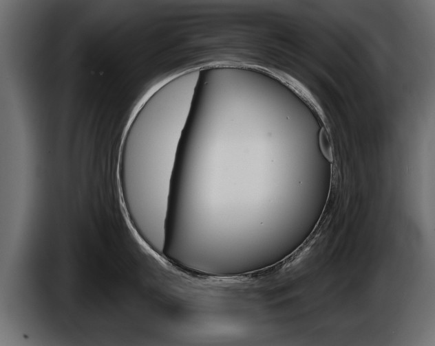 X0000086000863200703230848
