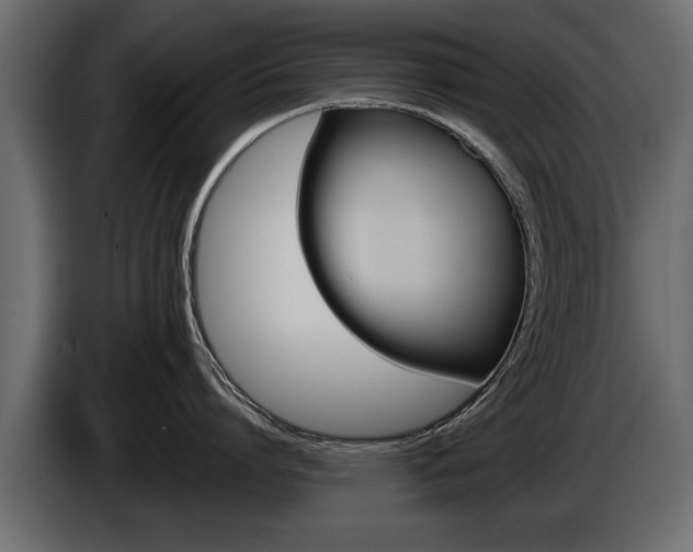 X0000086000864200703230848