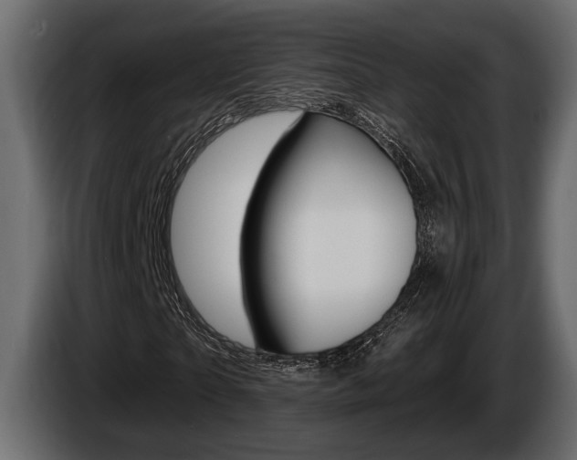 X0000086000865200703230847