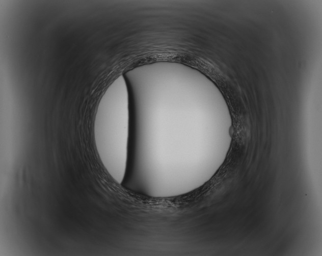 X0000086000866200703230847