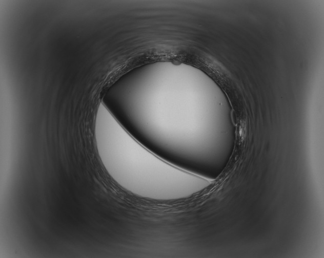 X0000086000867200703230847