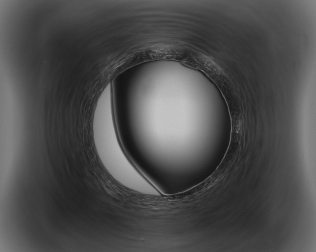 X0000086000868200703230847
