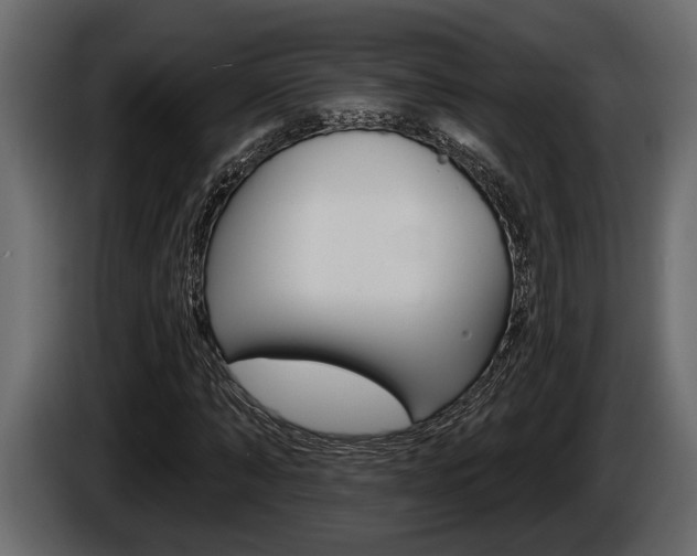 X0000086000870200703230847
