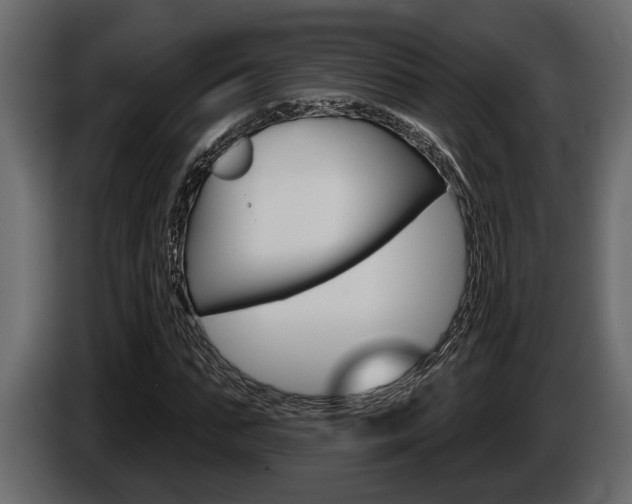 X0000086000871200703230847