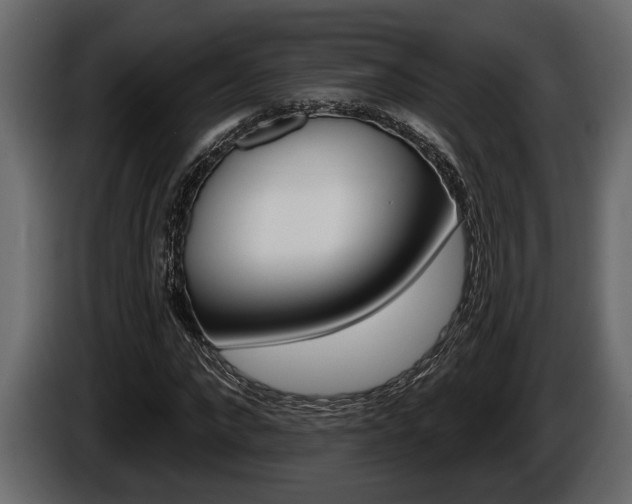X0000086000872200703230847