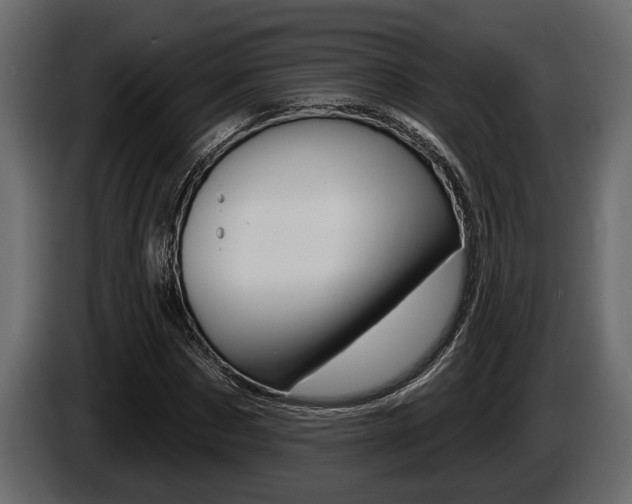 X0000086000873200703230847