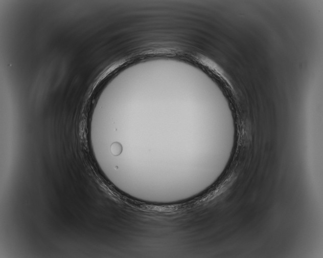 X0000086000874200703230847