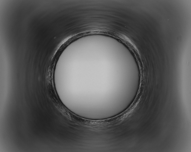 X0000086000875200703230847