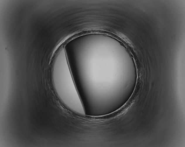 X0000086000877200703230847