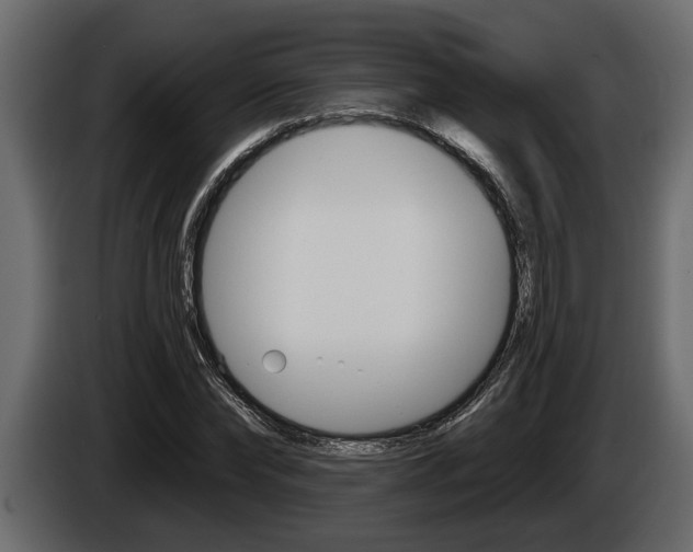 X0000086000878200703230847