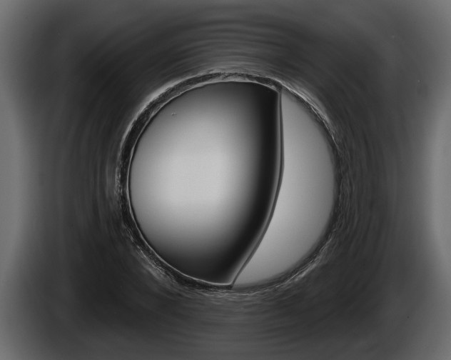 X0000086000880200703230847