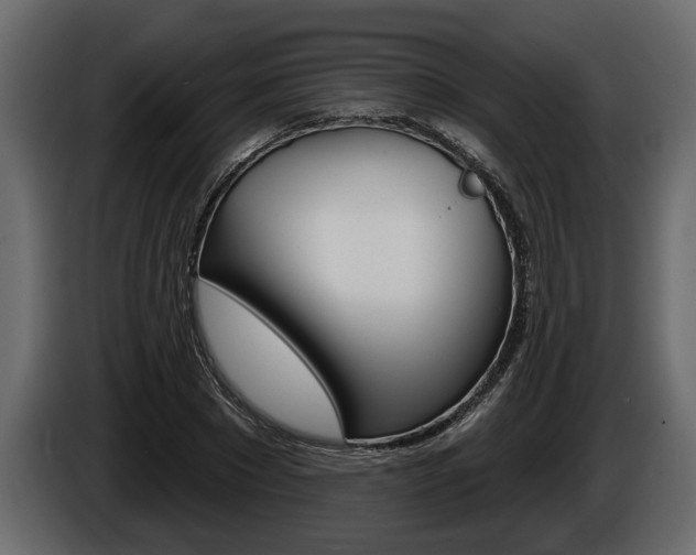 X0000086000881200703230847