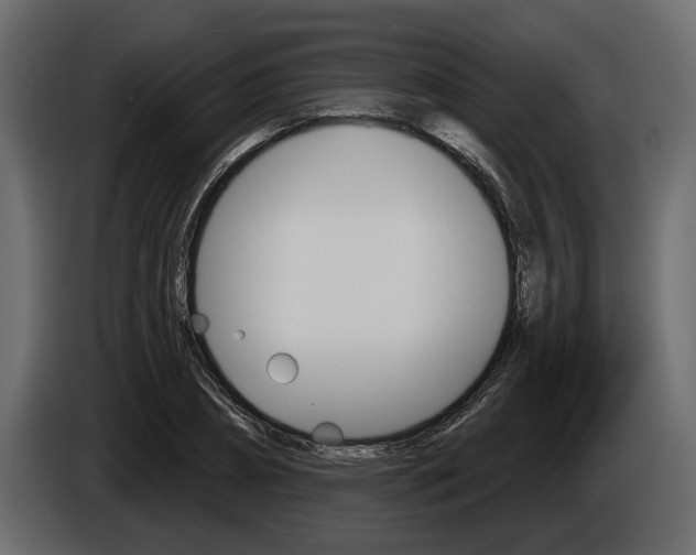 X0000086000882200703230847