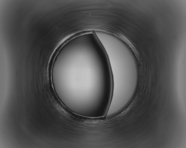 X0000086000884200703230847