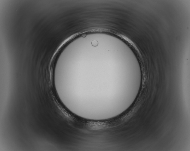 X0000086000886200703230847