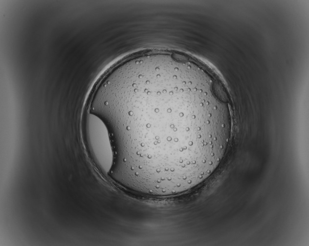 X0000086000887200703230847
