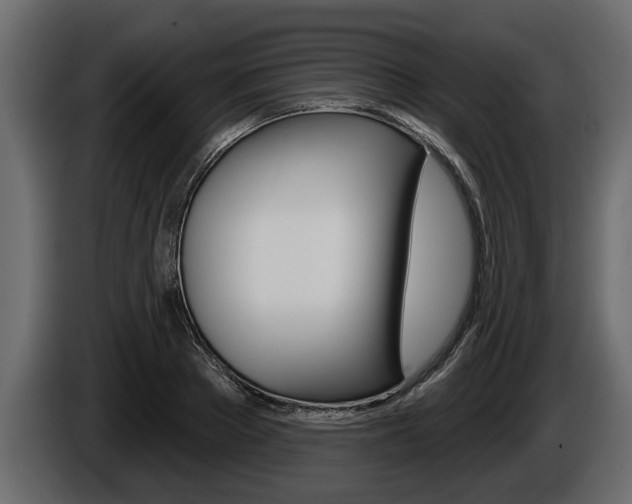 X0000086000889200703230847