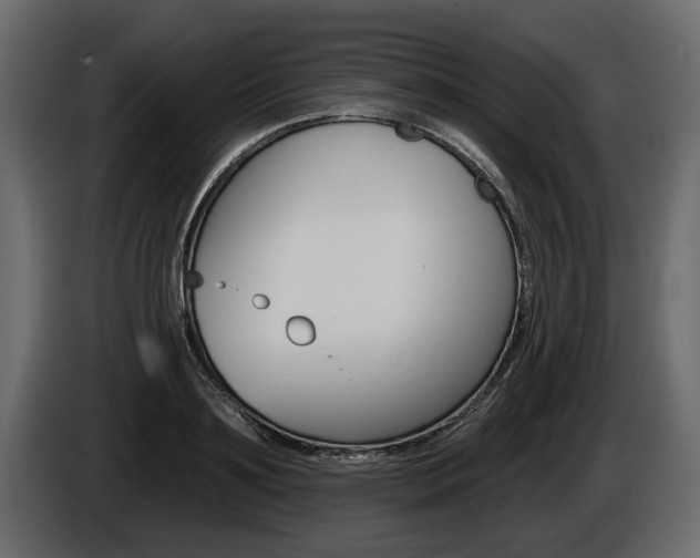 X0000086000891200703230846