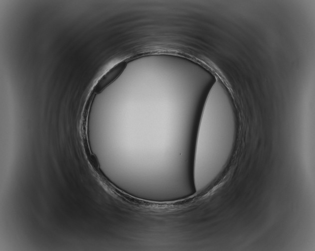 X0000086000893200703230846