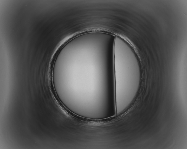 X0000086000894200703230846