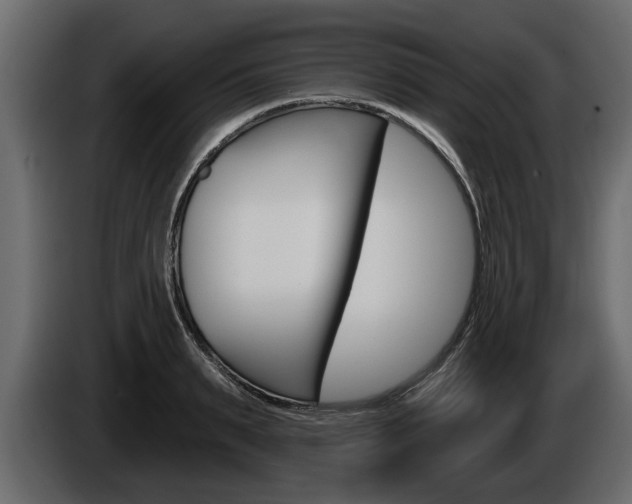 X0000086000895200703230846