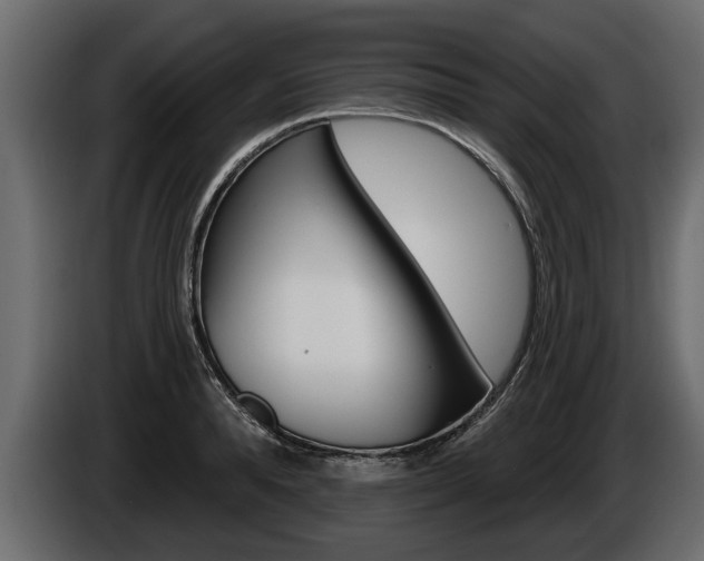 X0000086000896200703230846