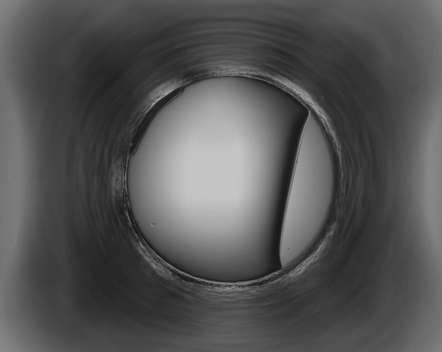 X0000086000897200703230846