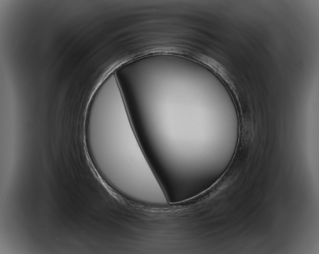 X0000086000898200703230846