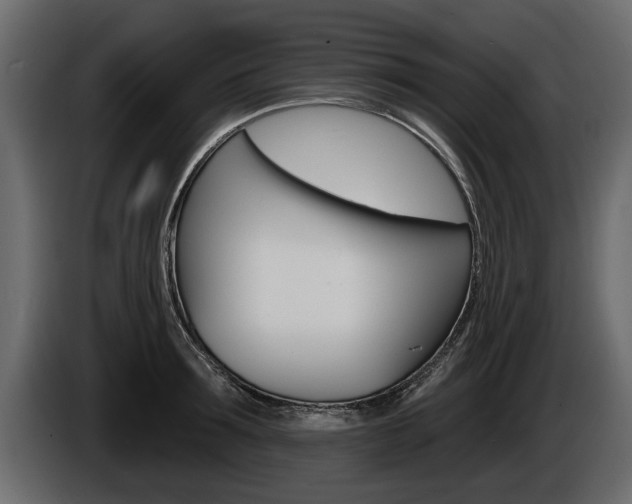 X0000086000899200703230846