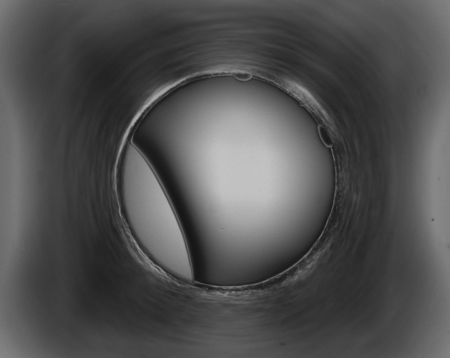 X0000086000900200703230846