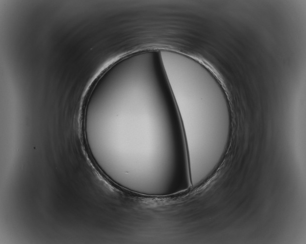 X0000086000902200703230846