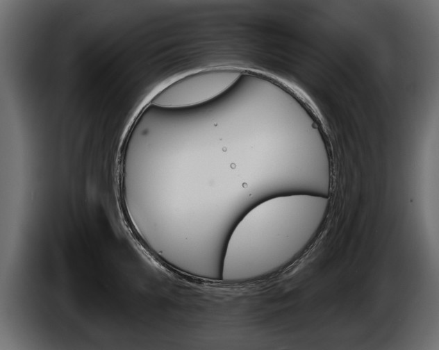 X0000086000903200703230846