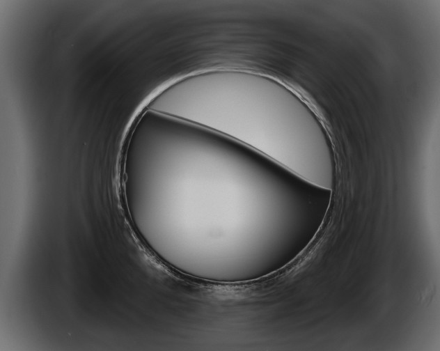 X0000086000904200703230846