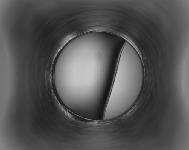 X0000086000906200703230846