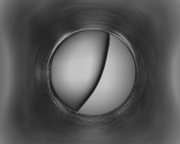 X0000086000907200703230846