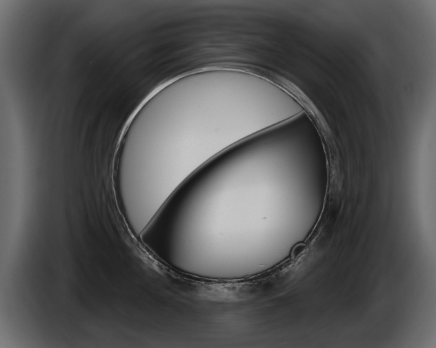 X0000086000908200703230846