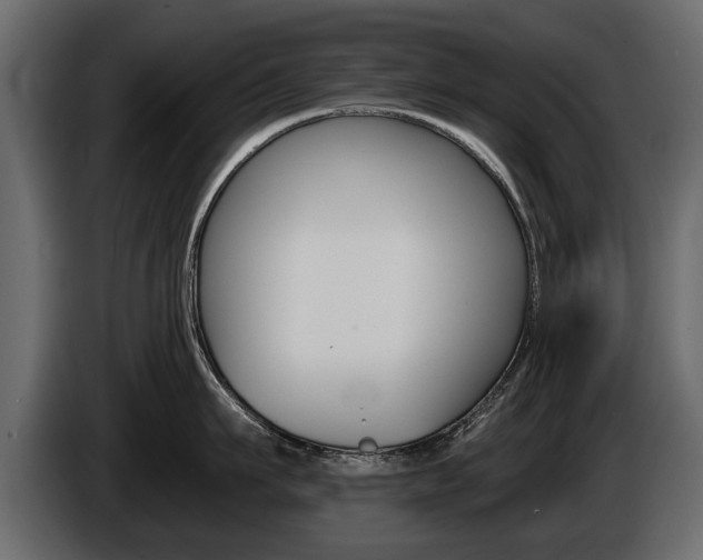 X0000086000911200703230846