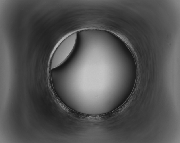 X0000086000912200703230846