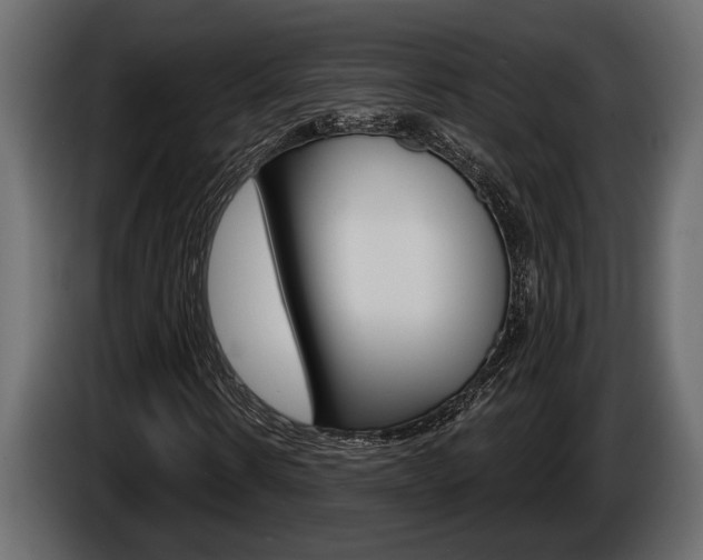 X0000086000914200703230846