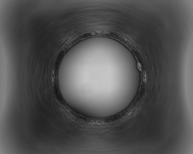 X0000086000915200703230846