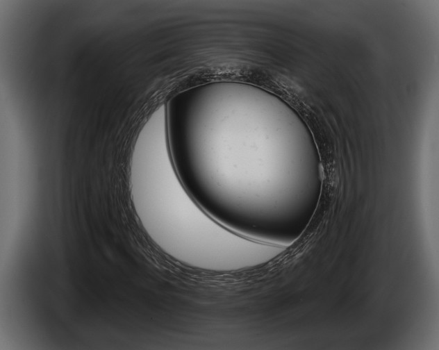X0000086000916200703230846