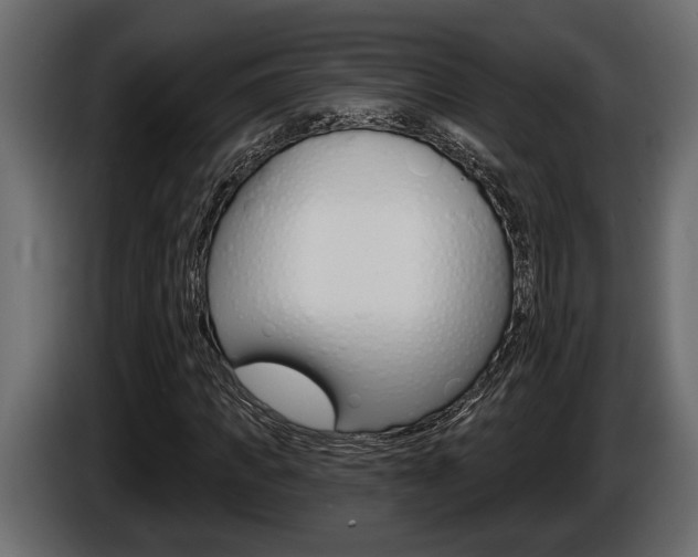 X0000086000917200703230846
