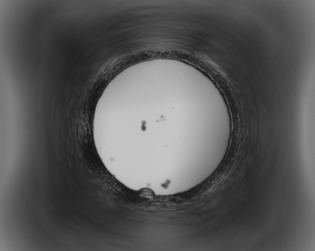 X0000086000918200703230846