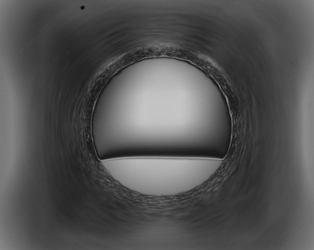 X0000086000919200703230846