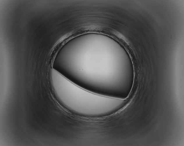 X0000086000922200703230846