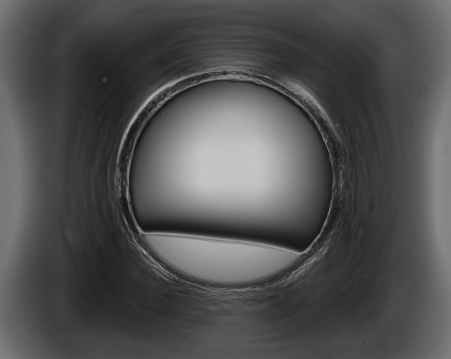 X0000086000924200703230846