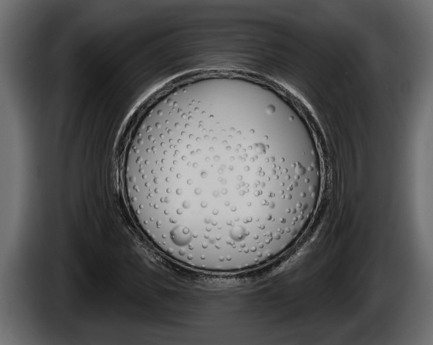 X0000086000925200703230846